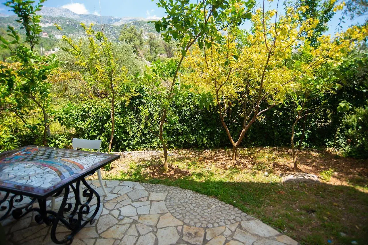 The Olive Terrace Apartments Palase