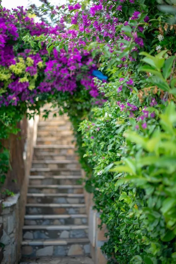 The Olive Terrace Apartments Palase Albania