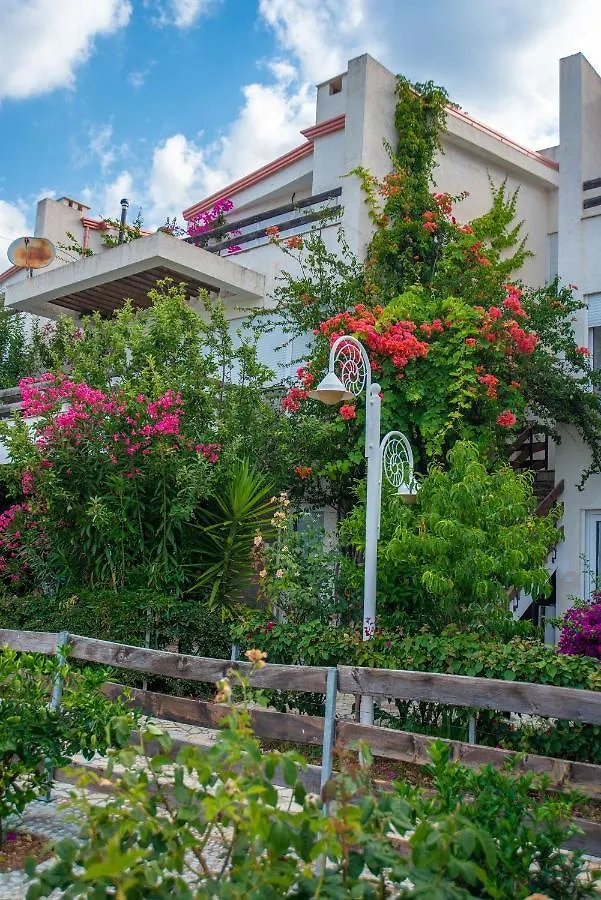 The Olive Terrace Apartments Palase 0*,  Albania