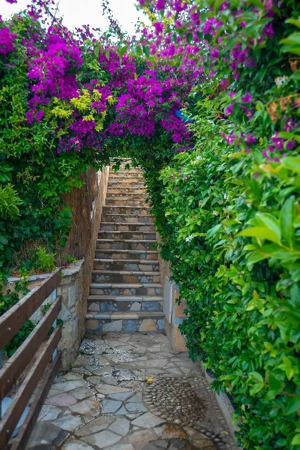 The Olive Terrace Apartments Palase Albania
