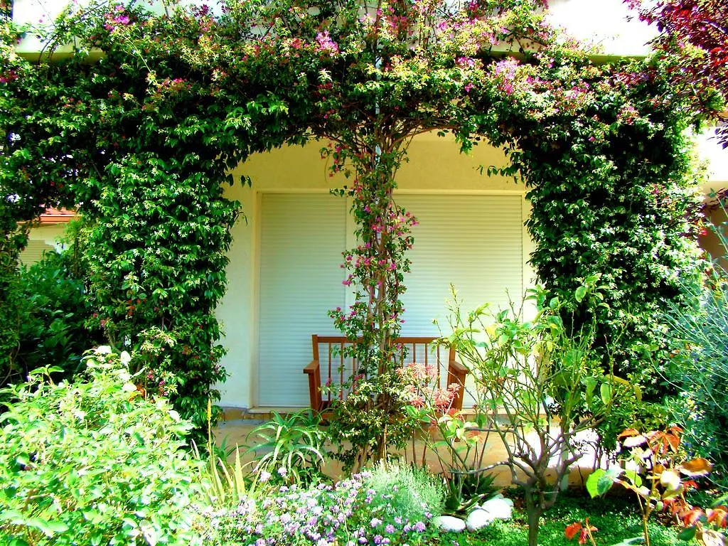The Olive Terrace Apartments Palase