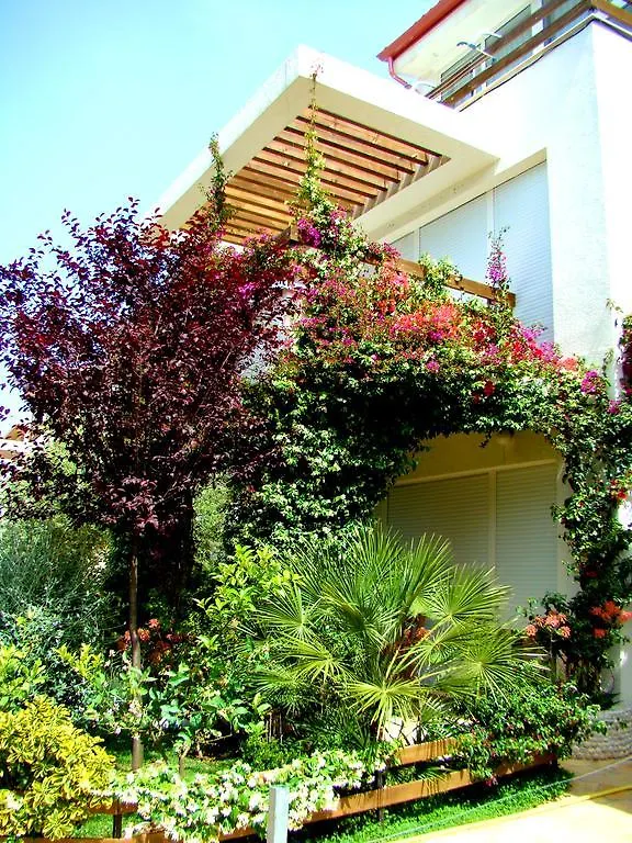 The Olive Terrace Apartments Palase