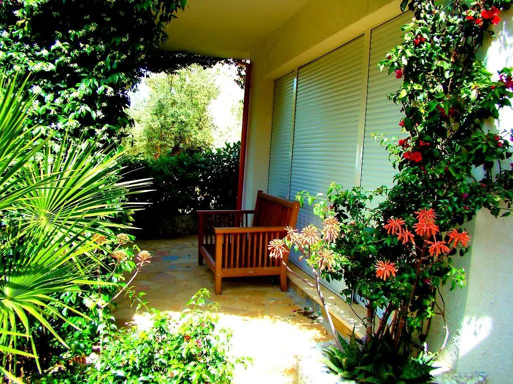 The Olive Terrace Apartments Palase
