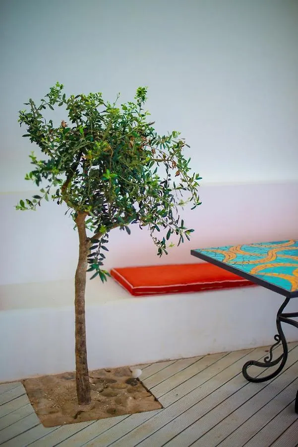 The Olive Terrace Apartments Palase