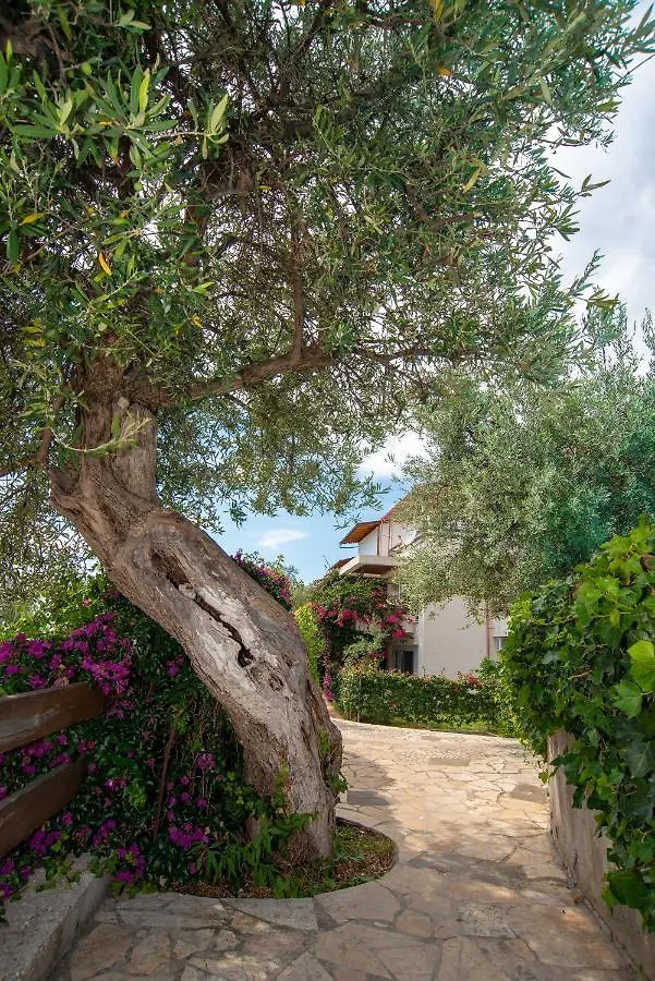 The Olive Terrace Apartments Palase