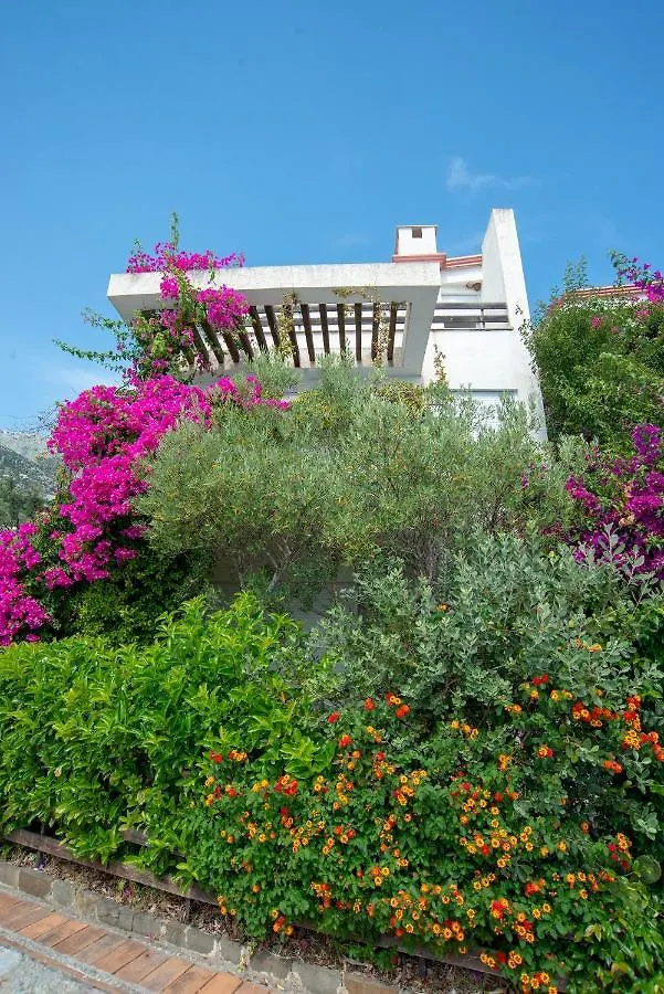 The Olive Terrace Apartments Palase