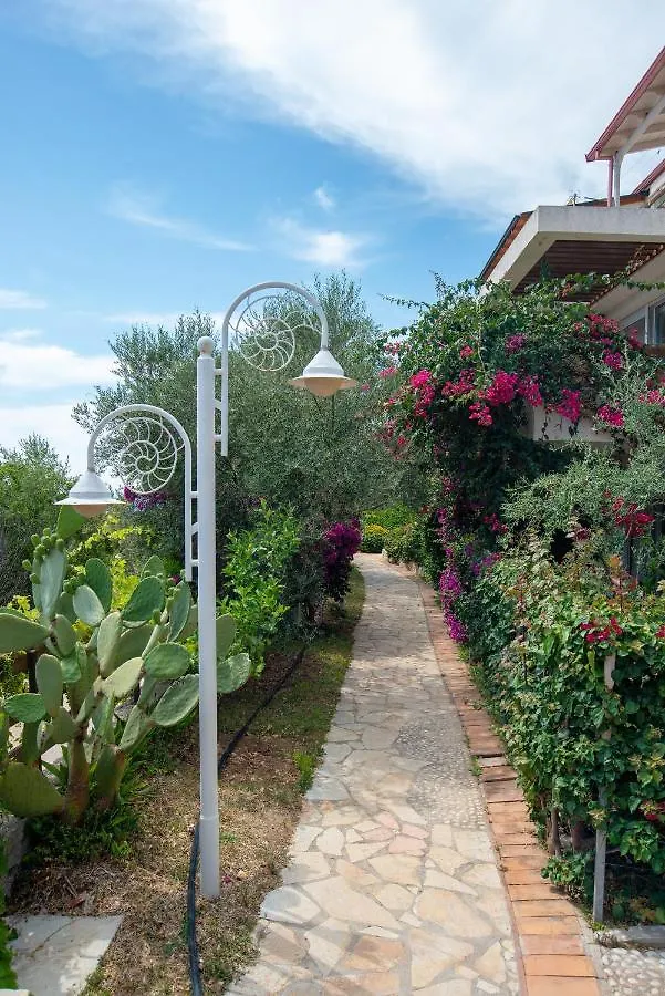 The Olive Terrace Apartments Palase